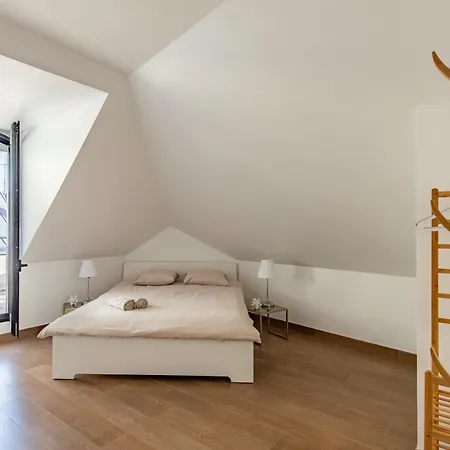 Geranimus Versailles: Notre-dame * Versalhes